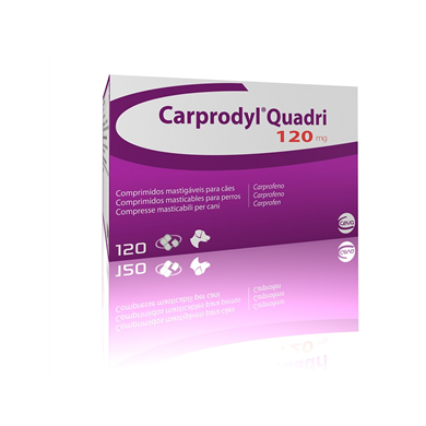 CARPRODYL QUADRI*120CPR 120MG