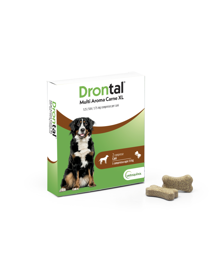 DRONTAL MULTI AR CARNE XL*2CPR