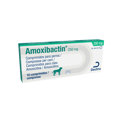 AMOXIBACTIN*10CPR 250MG