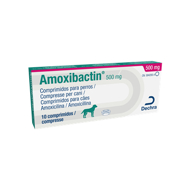 AMOXIBACTIN*10CPR 500MG