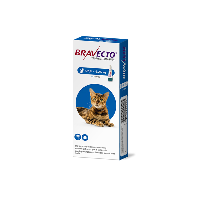BRAVECTO*1PIP 2,8-6,25KG GATTI