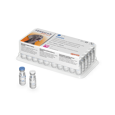 VERSICAN PLUS DHPPI*SC 25+25FL