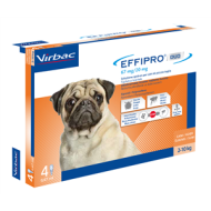EFFIPRO DUO*4PIP 2-10KG CANI