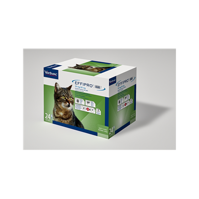 EFFIPRO DUO*24PIP 1-6KG GATTI