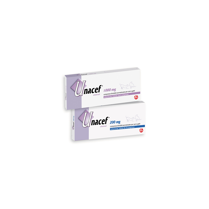 UNACEF*6CPR DIV 1000MG