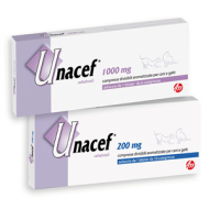UNACEF*6CPR DIV 1000MG