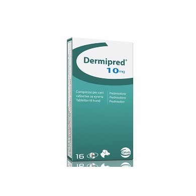 DERMIPRED*16CPR 10MG