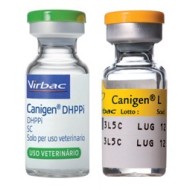 CANIGEN DHPPI/L*10FL1D+10F