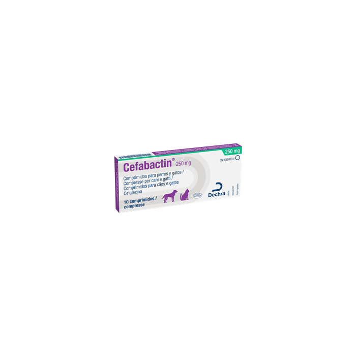 CEFABACTIN*10CPR 250MG