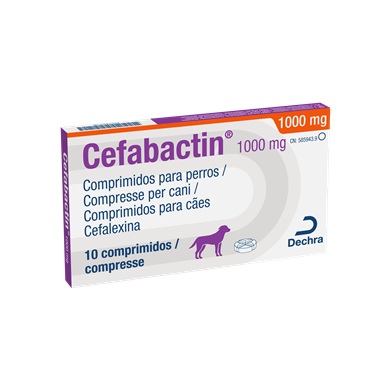 CEFABACTIN*10CPR 1000MG