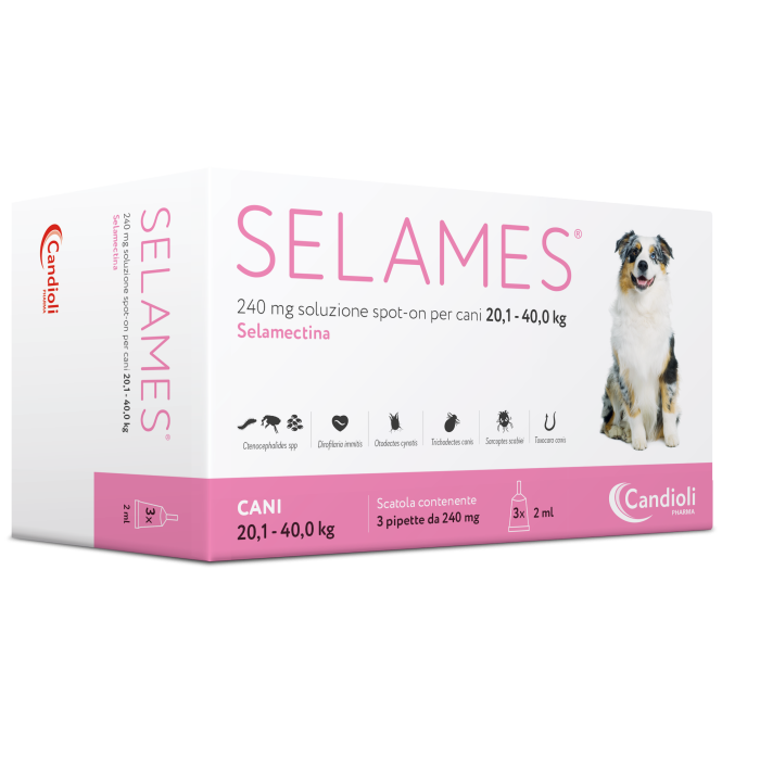 SELAMES*3PIP 20,1-40KG CANI