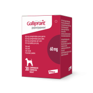 GALLIPRANT*30CPR 60MG FL