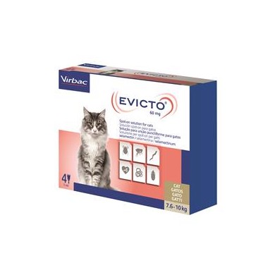 EVICTO*4PIP 7,6-10KG 60MG GA