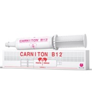 CARNITON B 12 PASTA SIRINGA