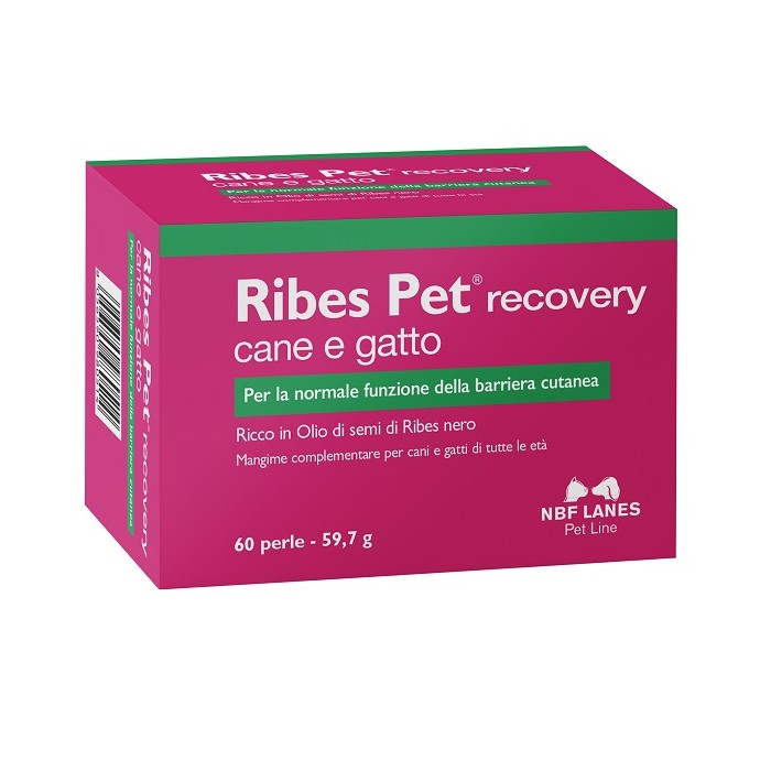 RIBES PET RECOVERY 60PRL