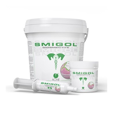 SMIGOL PASTA SIRINGA 100G