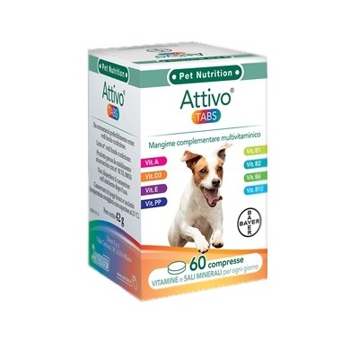 ATTIVO TABS 60CPR 