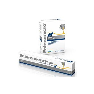 ENTEROMICRO PASTA 15ML