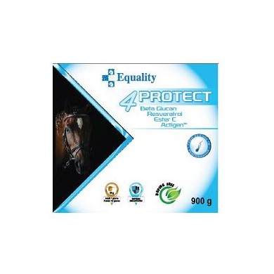 4PROTECT BARATTOLO 900G 