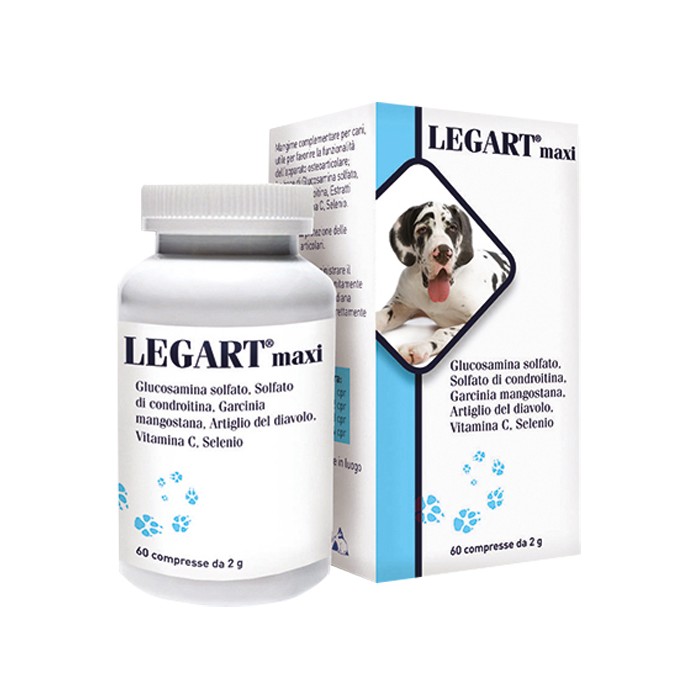 LEGART MAXI 60CPR 