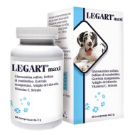 LEGART MAXI 60CPR 