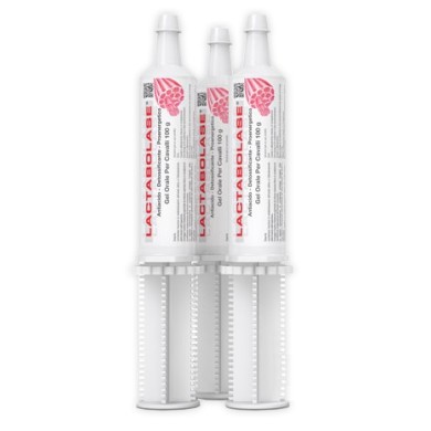 LACTABOLASE GEL ORALE SIR 100G