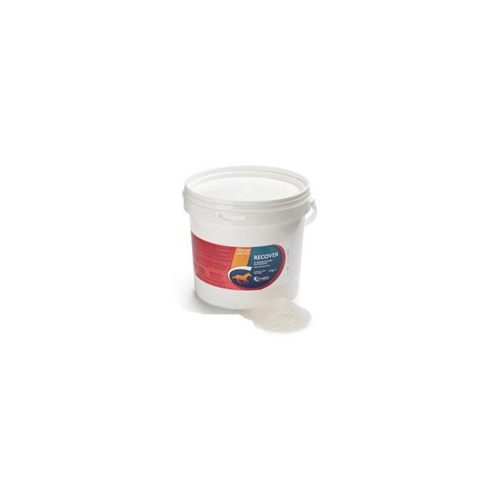 RECOVER REIDRATANTE CAV 3KG