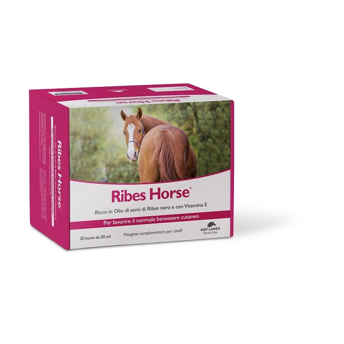 RIBES HORSE 30BUST
