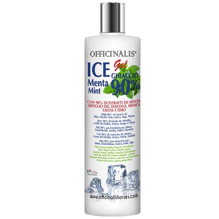ICE GEL 90% 250ML 