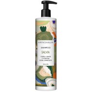 SHAMPOO SALVIA 250ML 