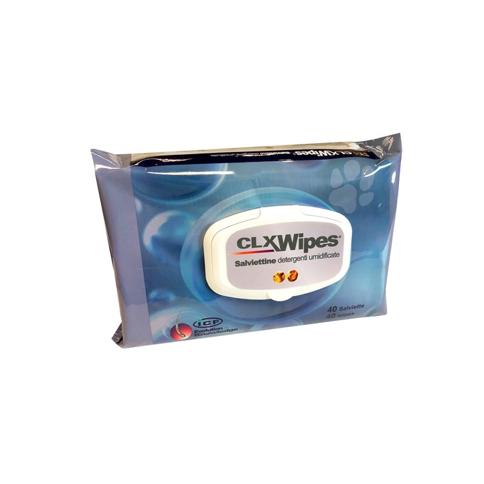 CLX WIPES 40SALV