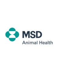 Msd animal health