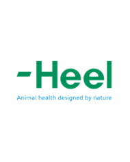 HEEL